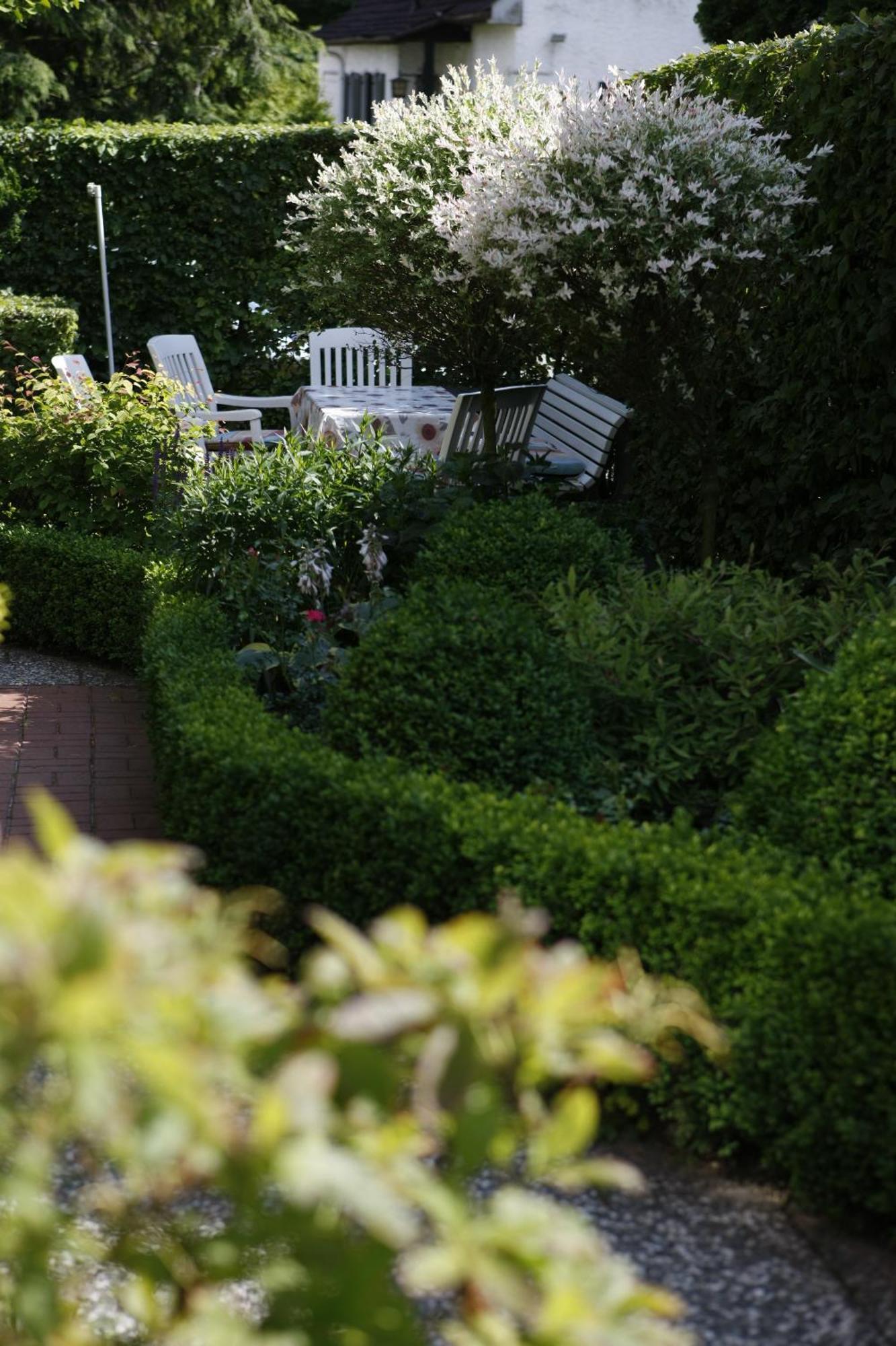 Pension Haus Wernemann Bad Rothenfelde Esterno foto